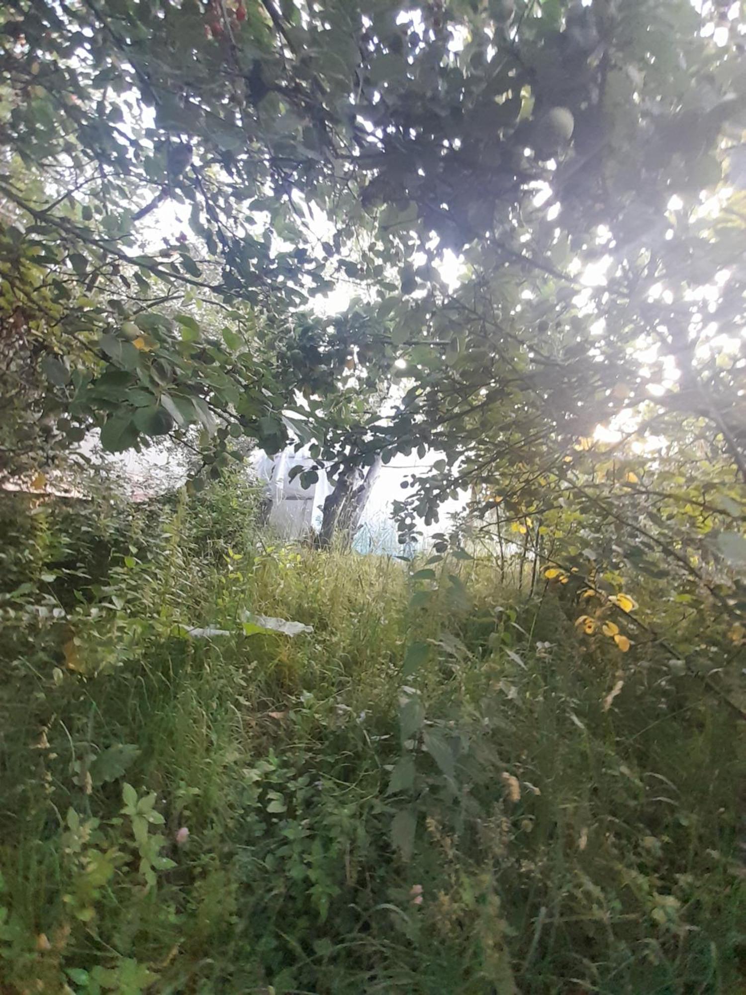 Waterfall In The Yard Karakol Exterior foto